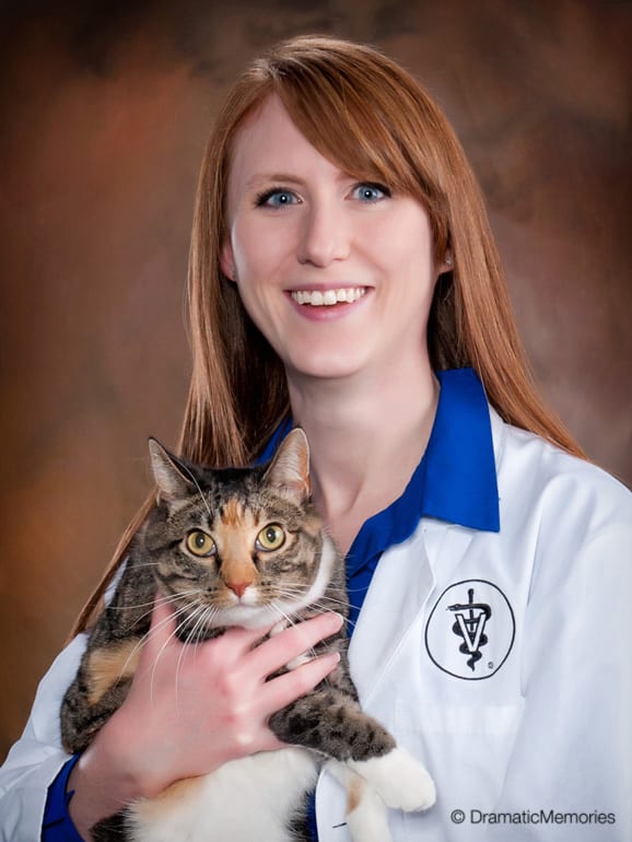 Business headshots for veterinarians holding cats.